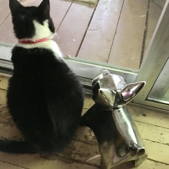 PET FRIENDLY - Picture 3 of 8